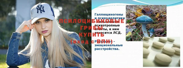 бошки Козловка