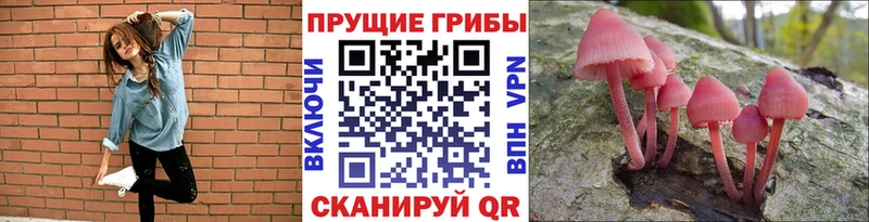 Псилоцибиновые грибы GOLDEN TEACHER  Купить где  Саров 